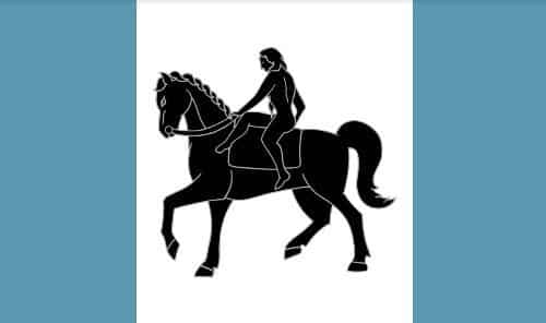 Coventry flag 5ft x 3ft with metal eyelets