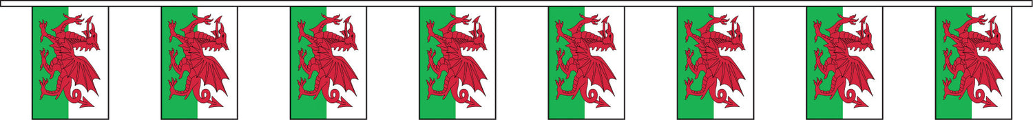 Wales bunting 9m
