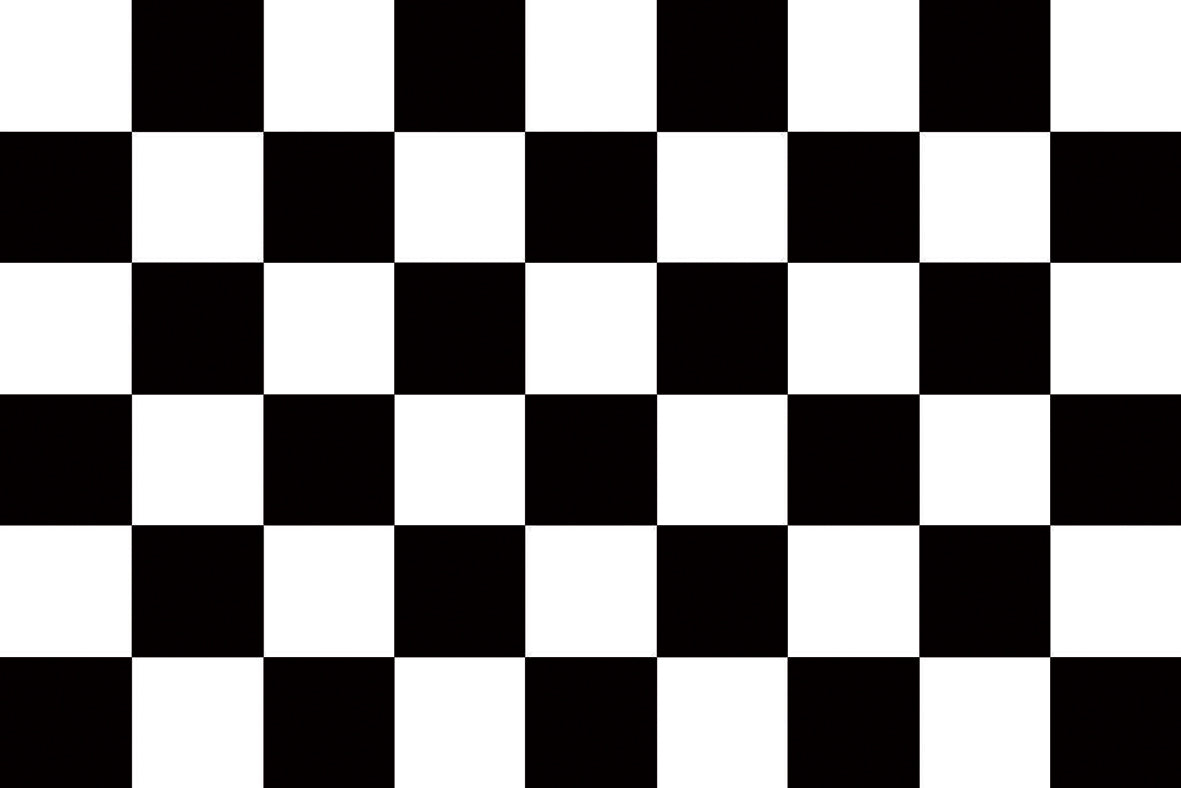 Chequered check flag black/white 3ft x 2ft with eyelets