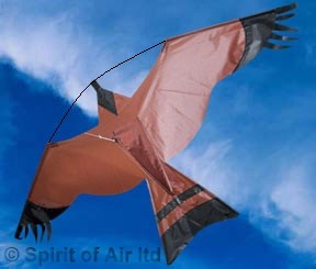 Hawk kite great as a bird scarer crop protector and also to fly from a pole