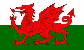 Wales flag 8ft x5ft